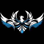 PHYSE Esports